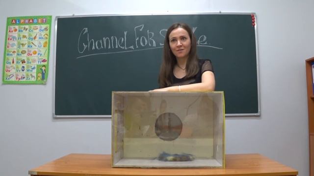 Угадай что в ящике, топовый челлендж, кажется нащупал. смотреть онлайн