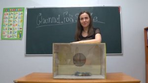 Угадай что в ящике, топовый челлендж, кажется нащупал.
