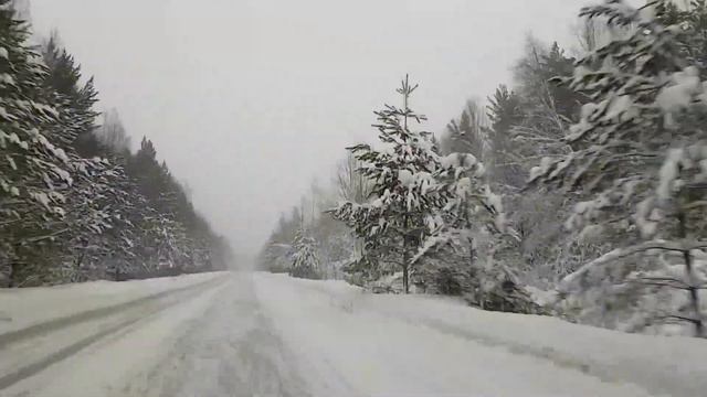 Сибирские просторы. Зимняя дорога.