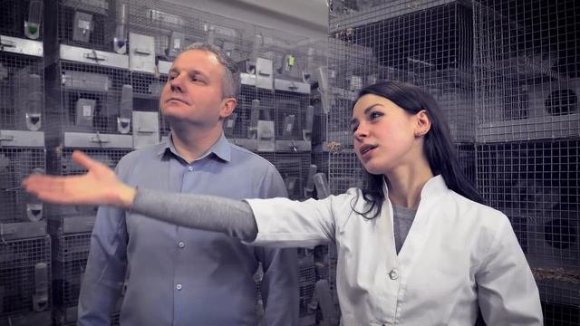 Ферма шиншилл.Шиншилловый бизнес. Сколько и как на этом можно зарабатывать | Chinchilla.Fur.Ukraine