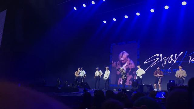 STRAY KIDS CONCERT IN MOSCOW! ПОЗДРАВЛЕНИЕ ЧАНБИНА. смотреть онлайн