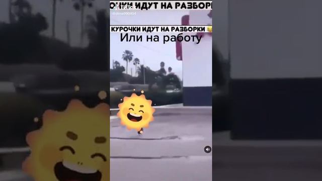 курицы идут на работу в КФС