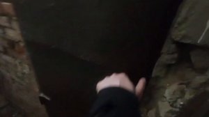 кролики в подвале гаража. навоз, отходы в доходы.