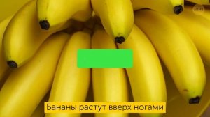 Открывающие глаза факты или мифы. 30  тестов.
#Познавательно