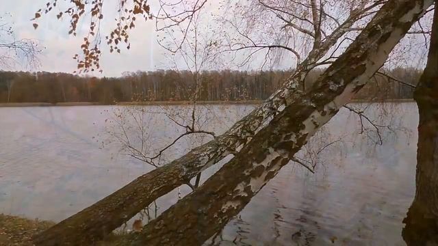 2 Ошо Внутренний свет 2 часть Медитации смотреть онлайн