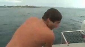 Нападение тигровой акулы в Австралии