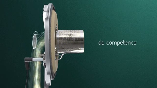 ecoTEC plus IoniDetect (français) смотреть онлайн