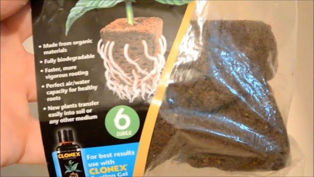 Рассаживаем фласку фрагмипедиума смотреть онлайн