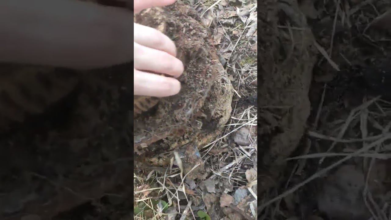 Металлкоп.Что за штука интересная? смотреть онлайн