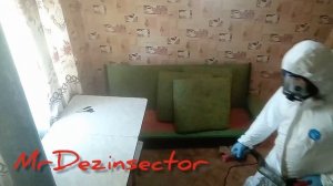 Клопы и тараканы в квартире. Обработка холодным туманом.