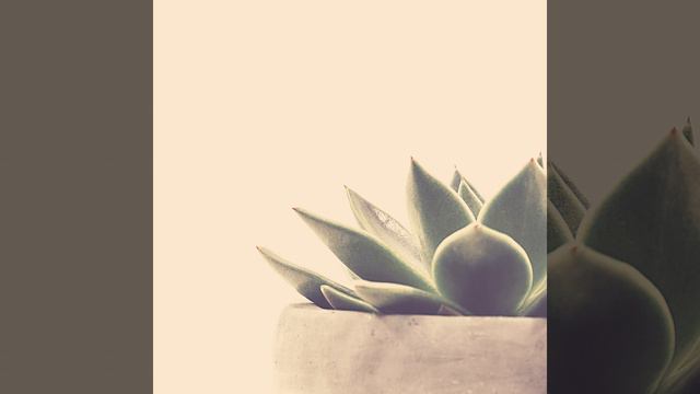 Моменты (Изучение) смотреть онлайн