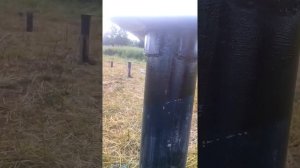 Заводские оголовки на сваю.