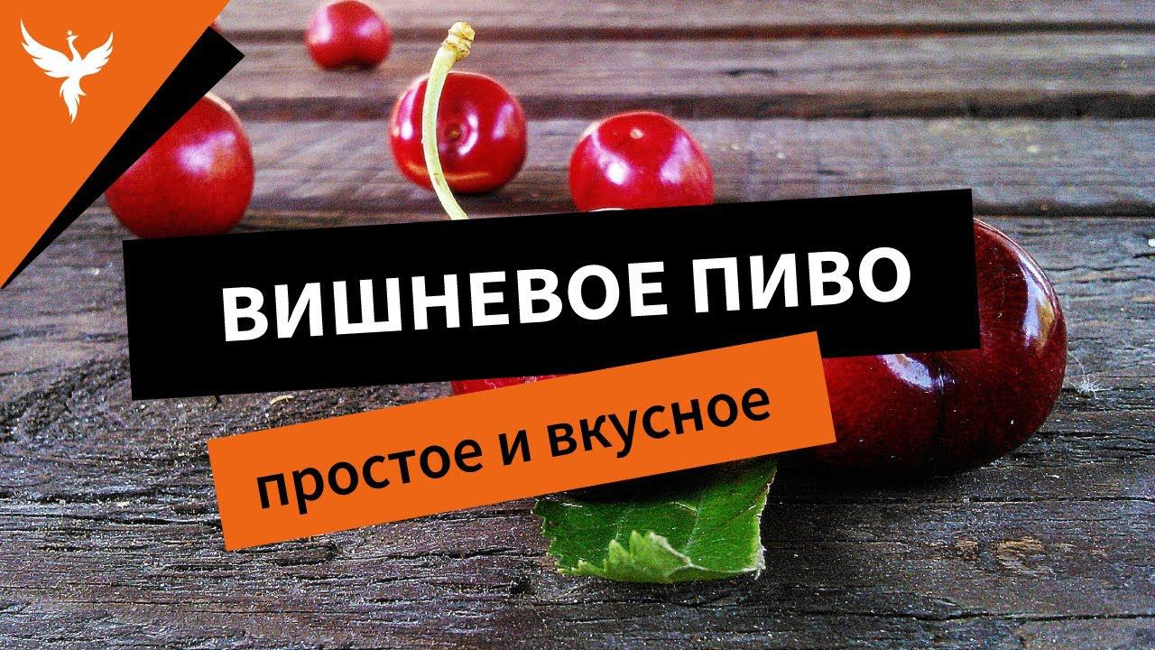 Простое и вкусное вишневое пиво. Как его делают в домашних условиях. Рецепт с мезгой и соком в сусло