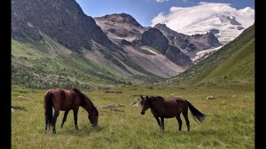 Я и Северный Кавказ январь 2023