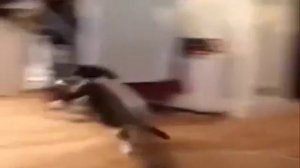 Ха! Котики.mp4