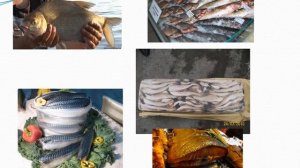 Первичная обработка рыбы