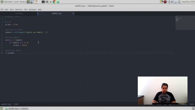 Aula 04 - Rotinas de Repetição (Curso de Python) | Programa Sem Dor смотреть онлайн