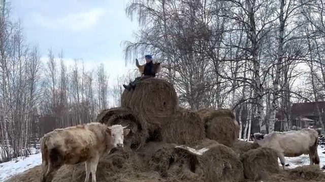 Странные Манипуляторные заказы крайнего севера