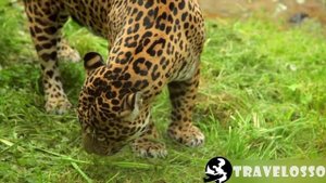 Достопримечательности ИЗУМРУДНОГО города. Почему Сиэтл самый красивый город США