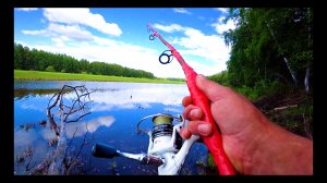 Рыбалка на палку. Ловля щуки на самодельный спиннинг из куска дерева.