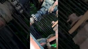 Картофелеуборочный комбайн КПК-2. 01.