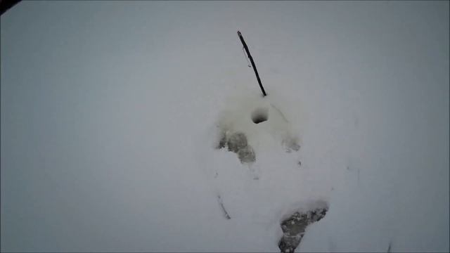 НАЛИМ / НА ЗАКИДУШКИ / ДЕКАБРЬ 2020 смотреть онлайн