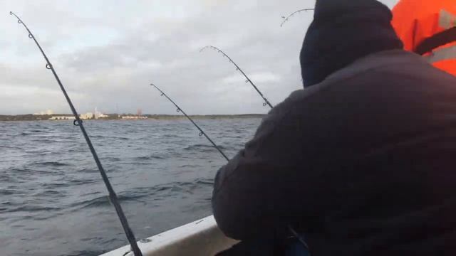 Незабываемая Морская Рыбалка на Треску Fishing in the Baltic