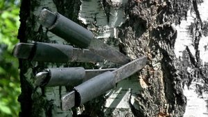 МЕТАНИЕ ножа. Упражнение = "ВЕЕР"