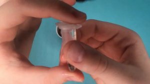 Живая ель в Фикспрайс?! / выращиваю елку