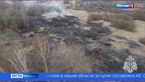 Двух смолянок поймали с поличным при попытке поджечь сухую траву