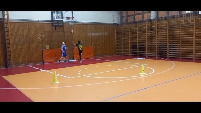 Баскетбол в Сербии/Секция баскетбола/Детские тренировки