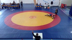 Чемпионат Санкт-Петербурга по вольной борьбе