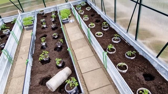 Ура! Тепличный сезон начался!) Высаживаем рассаду томатов ... смотреть онлайн
