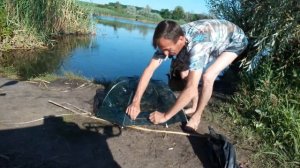 Ловля раков  2020  раколовкой на лягушку... КАК просто НАЛОВИТЬ МНОГО РАКОВ на РАЗНЫЕ ПРИМАНКИ