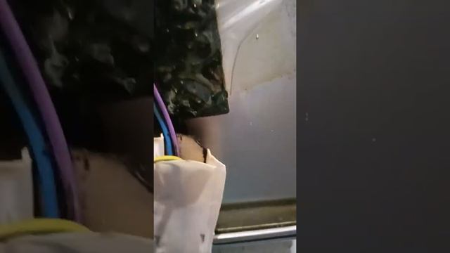 Ремонт посудомоечной машины Беко 15 30 смотреть онлайн