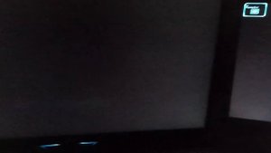 HOW TO RUN THE SABOTEUR ON WINDOWS 10 - FIX/LÖSUNG