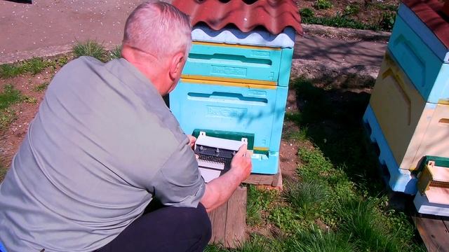 Установка пыльце-уловителей для сбора пыльцы смотреть онлайн