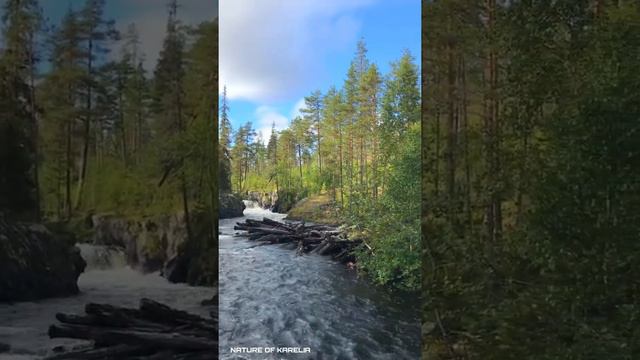 Northern Karelia. River rapids / Северная Карелия. Речные пороги