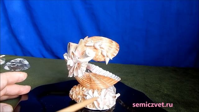 ?? Шкатулка-лоток из морской раковины своими руками