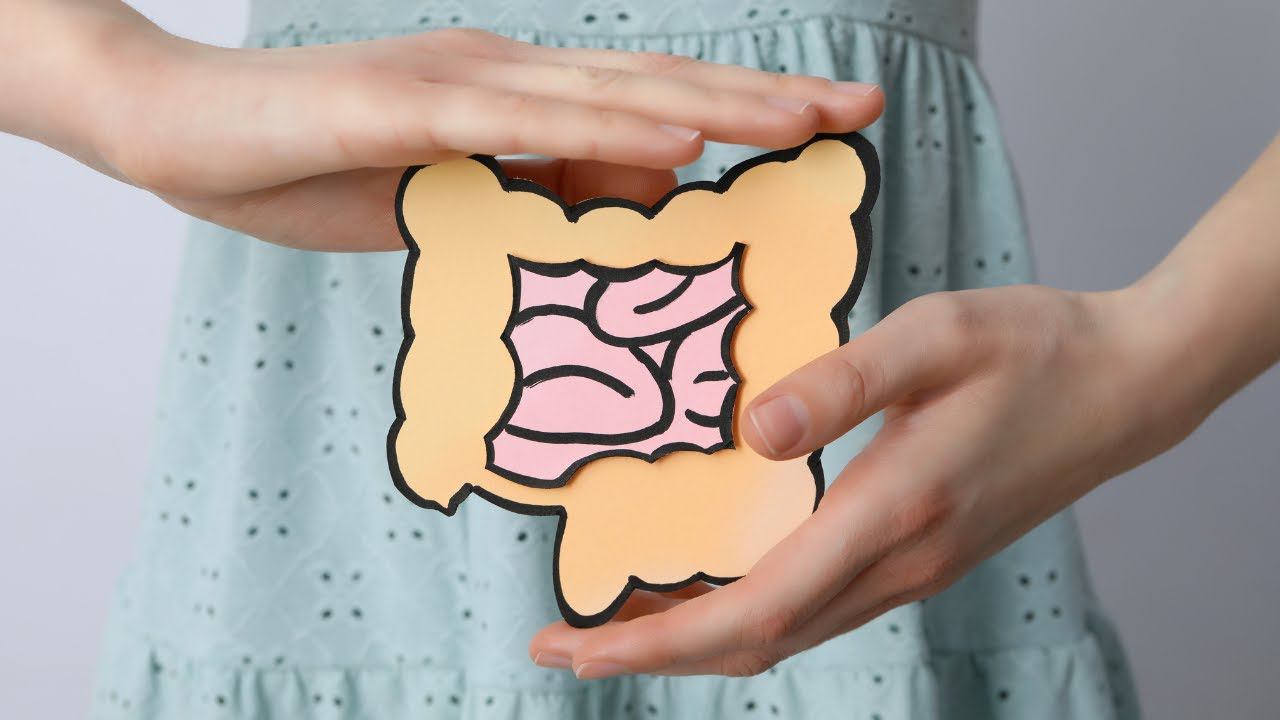 Школа гастроэнтерологов