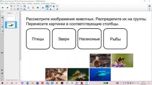 тема: Такие разные животные
