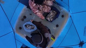 Ловля корюшки | Зимняя рыбалка на самодур