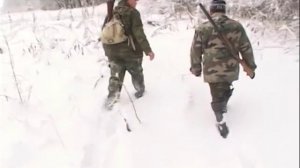 Охота на волков в Крымском районе