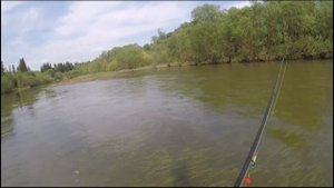 ?ИЮНЬ ТАЕЖНАЯ РЕКА «ЗОЛОТОЙ КИТАТ»?