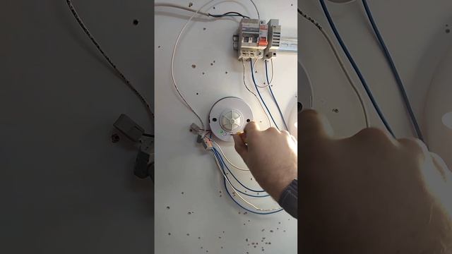 Датчик движения инфракрасный. ДДП-2 TDM. смотреть онлайн