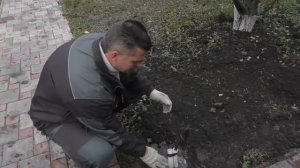 Уличное освещение в саду частного домовладения.