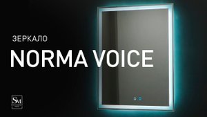 Зеркало Norma VOICE