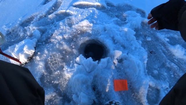 ФЛАЖКИ ЗАГАРАЮТСЯ ОДИН ЗА ДРУГИМ Какой результат?! смотреть онлайн