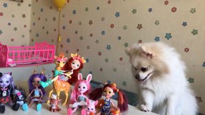 Enchantimals МОЯ КОЛЛЕКЦИЯ КУКОЛ