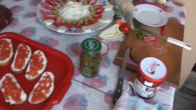 Шашлыки на даче под Киевом. 9 августа 2016 г. смотреть онлайн